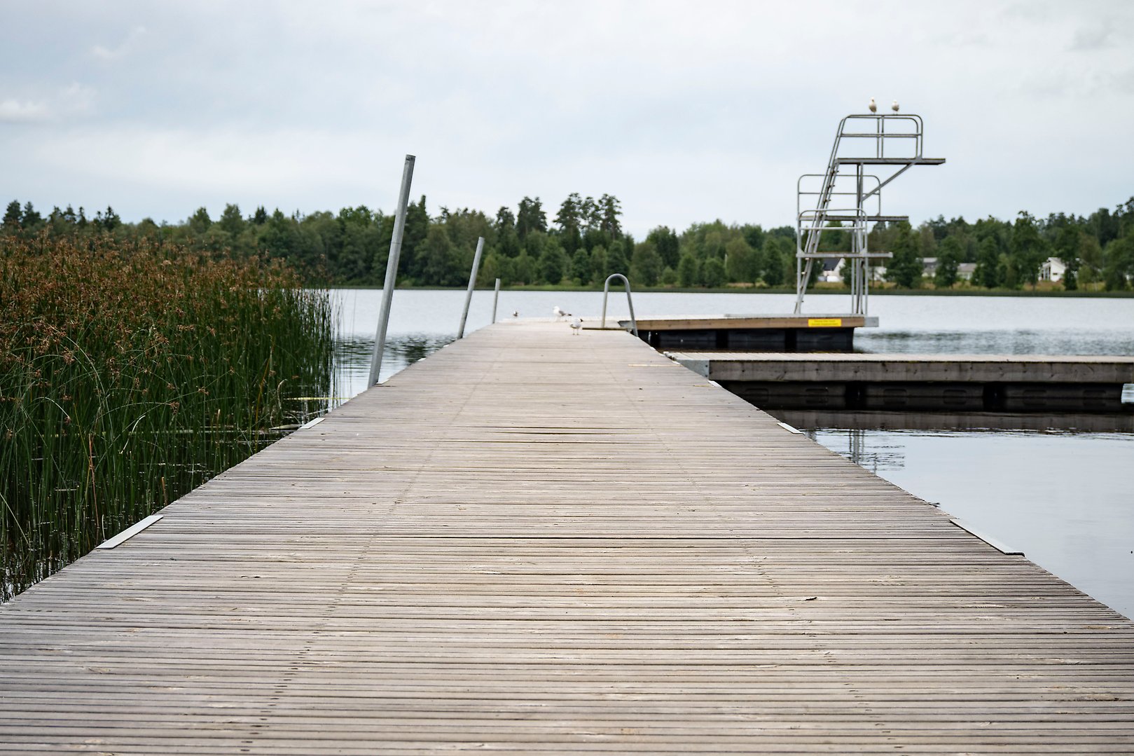 Kvinna lägger på ved på grillplats